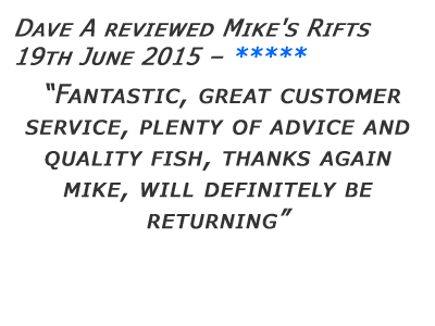 Mikes Rifts Review 27